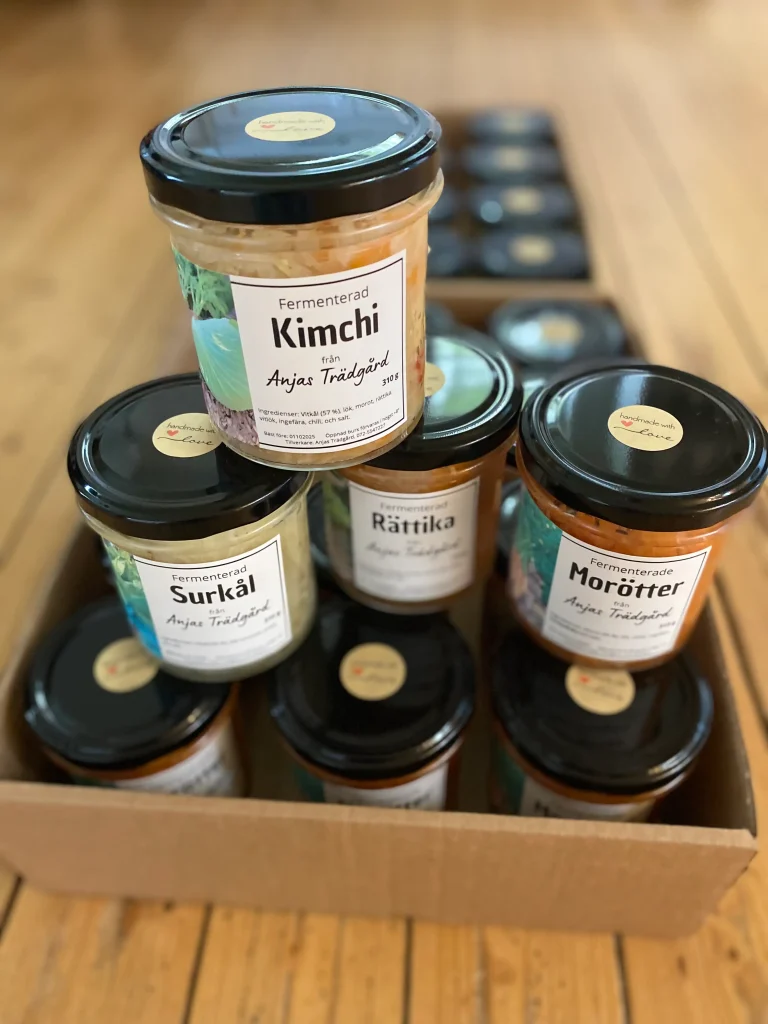 Ett flertalet burkar med fermenterade grönsker - kimchi, surkål, rättika och morätter - i burkar med svarta lock i en pappkartong på ett trägolv. 
