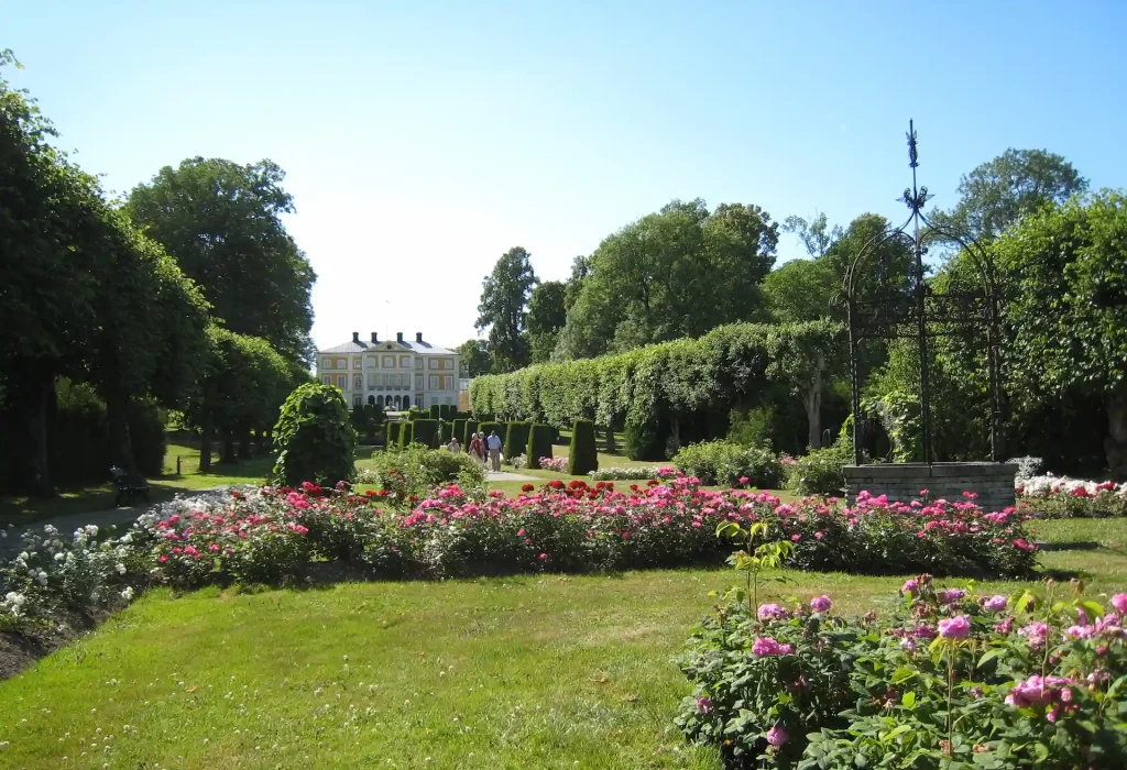 Rosengård i en välorganiserad trädgård med en stor herrgård i bakgrunden.