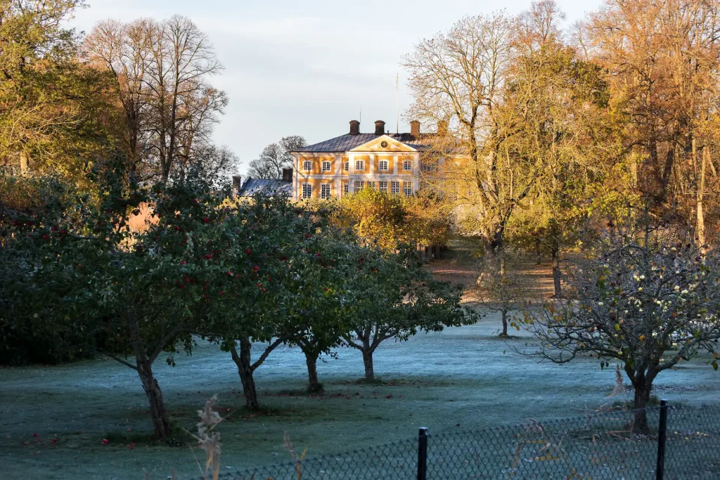 Många fruktträd framför en gul herrgårdsbyggnad och frost i gräset.