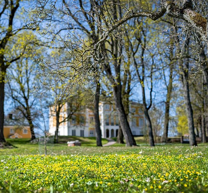 I förgrunden vårblommor och lindar som börjar få knoppar, i bakgrunden en gul och vit herrgårdsbyggnad.