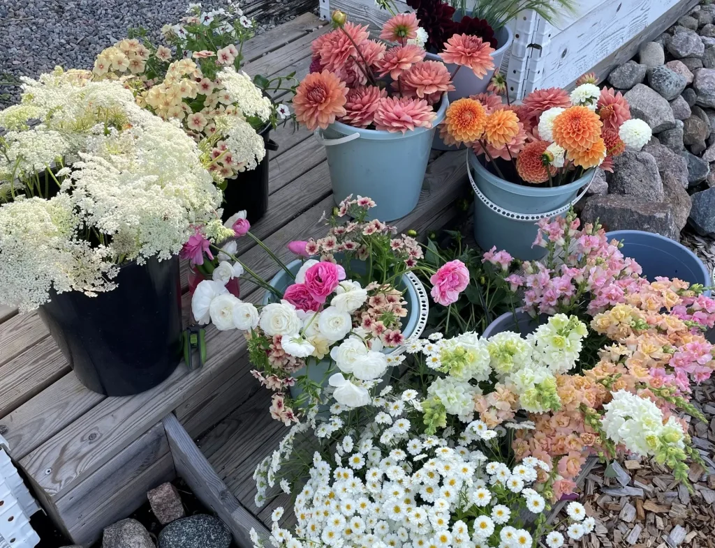 Blomsterarrangemang i olika färger som står i hinkar. Bakgrunden är en trappa i trä och stenar.