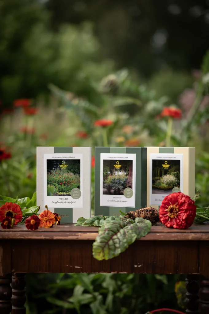Paket med fröblandning uppställt på ett bord med växter, blommor och blad omkring