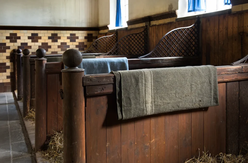 Detalj av hästboxar i ett stall